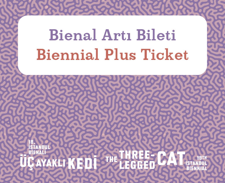 16–19 Eylül 2025 arasındaki önizleme günleri için Bienal Artı bileti satışta
