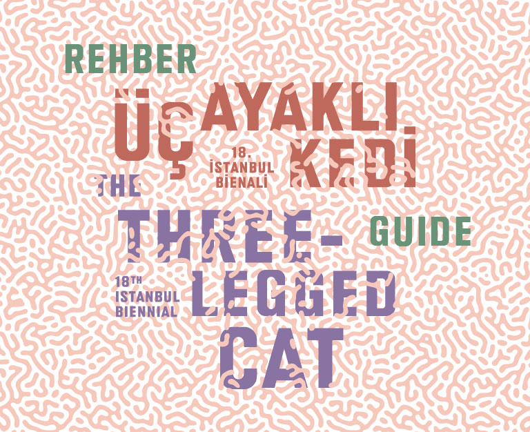 Guide to the 18th Istanbul Biennial now online